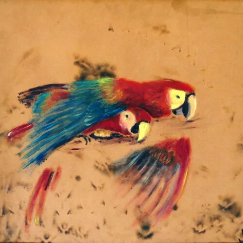 'Macaw Macaw' - Oil on Board, Natalie J Cheetham, original painting