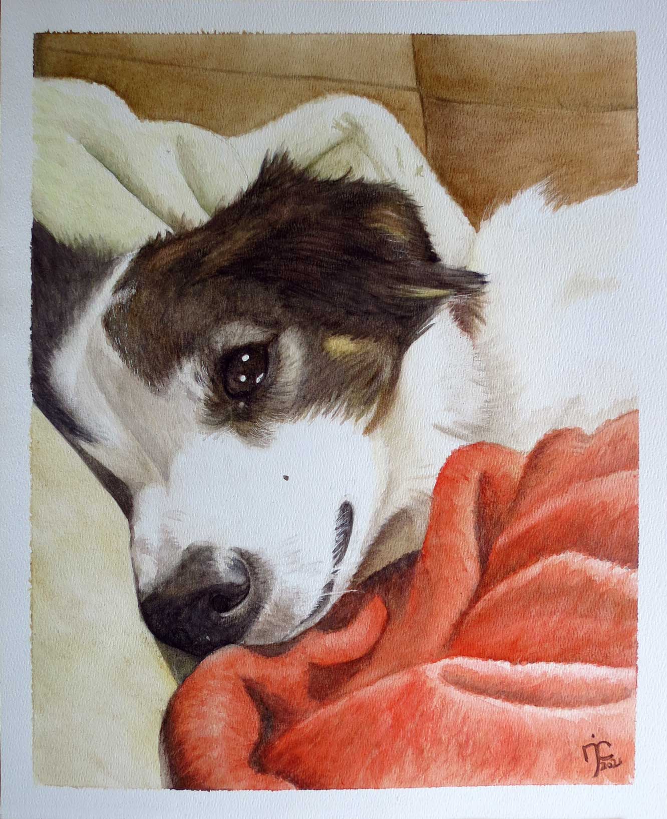 Pet Portrait Watercolor