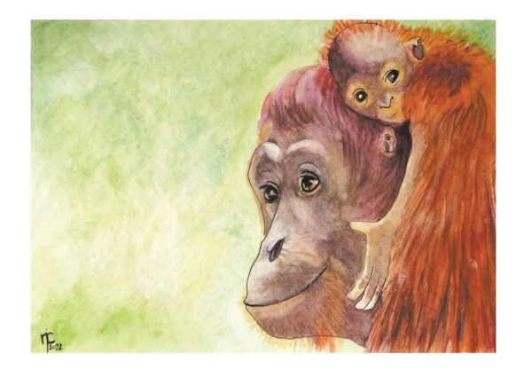 watercolour of orangutans by Natalie J Cheetham_ Mama And Baby
